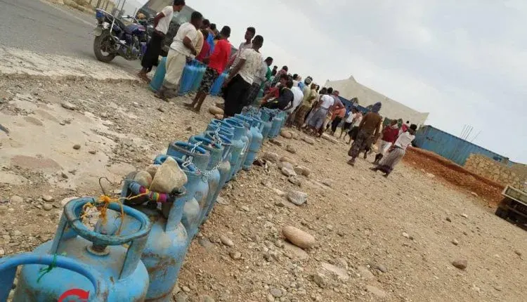 yemen suqatra