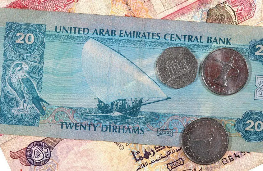 shibh aljazeera net 5