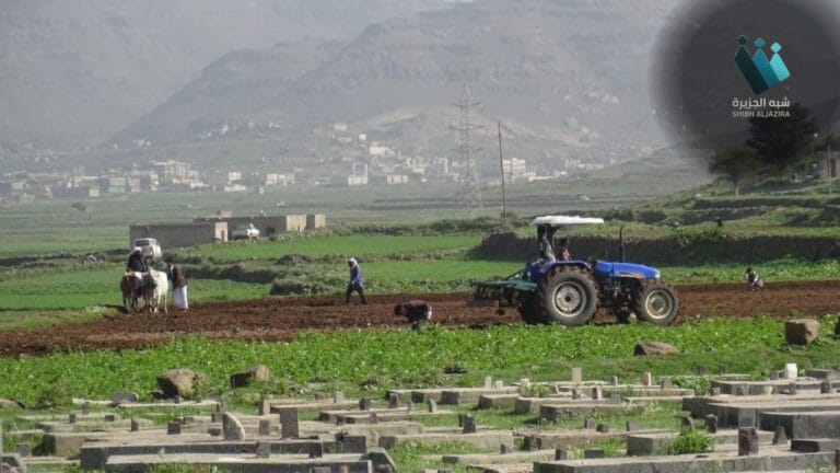 اليمن: حقول خضراء ومخاوف الأمن الغذائي تتفاقم