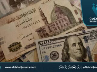 الجنيه المصري يسجل أدنى مستوى رسمي متجاوزاً حاجز 55 للدولار