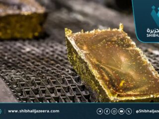 روسيا تبيع 62 طنًا من الذهب منذ بداية العام والصين تعزز مشترياتها