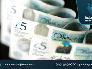 الجنيه المصري يهبط إلى مستوى قياسي أمام الدولار