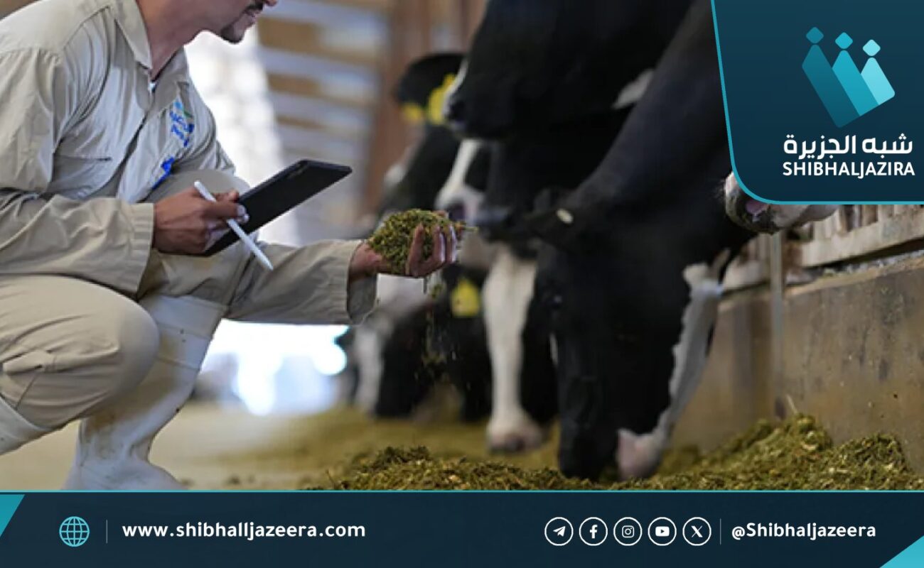المراعي السعودية تدخل سوق اللحوم الحمراء بعلامة «هبور»