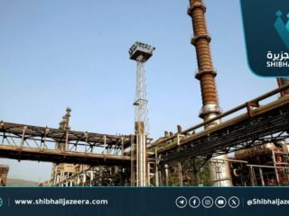 شركة أويل كورب: الهند تحتاج أسطول شحن للاستفادة من النفط الرخيص